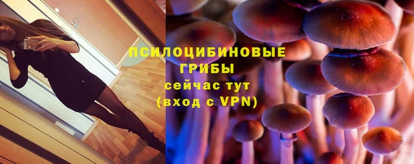 кокаин премиум Алексеевка