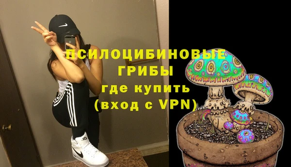 бошки Абинск