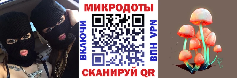Галлюциногенные грибы Psilocybe  Новосибирск 